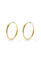 RVS oorbellen hoops klein Goud kleur Stainless Steel
